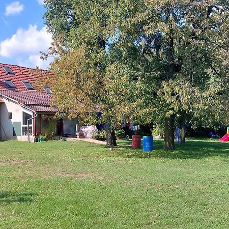 Mladinski Center Prlekije - Hostel Ljutomer Bagian luar foto